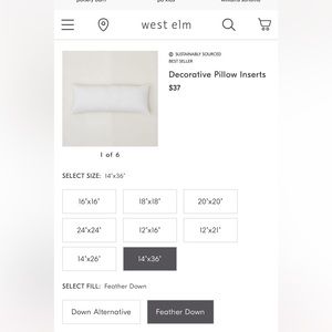 West Elm 14 x 36 inch Down Filled Pillow
